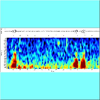 Serrasalmus sanchezi_spectrogram2.png
